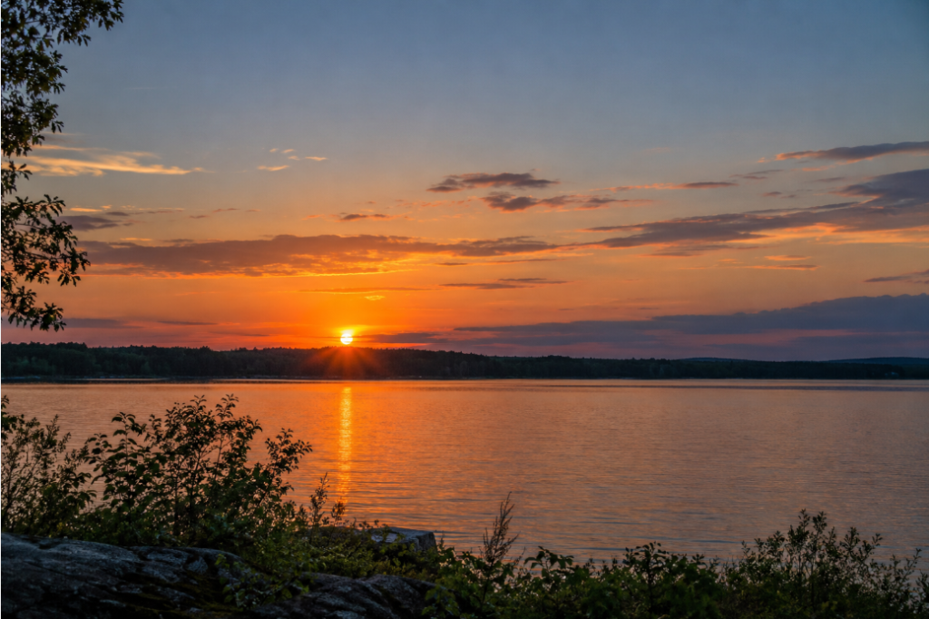 Orange sunset reflecting across a calm lake, framed by silhouetted trees and shoreline vegetation