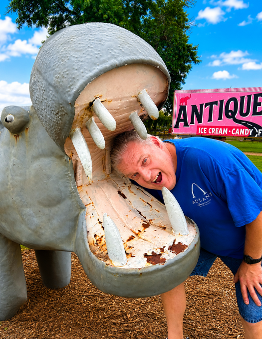 Pink Elephant Antique Mall Livingston Illinois on Route 66
