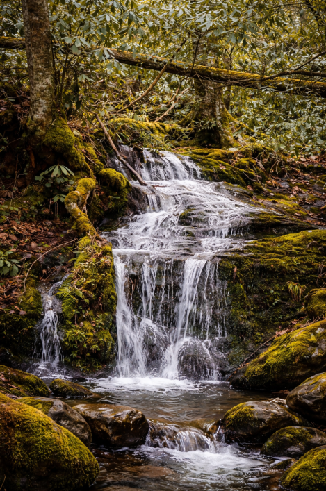 waterfall in Great Smokey Mountain National Park