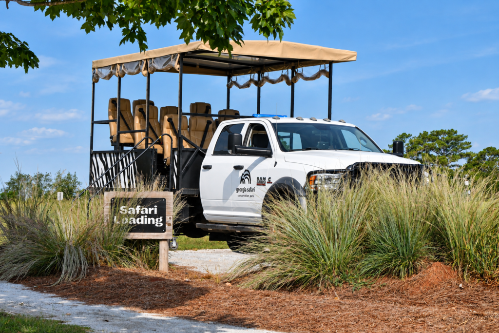 Open-air tour truck at Georgia Safari Conservation Park in Madison, Georgia