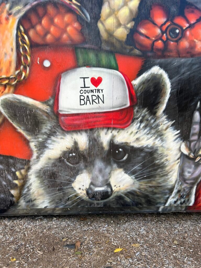 Painted raccoon wearing an I Love Country Barn cap in a Pigeon Forge wildlife mural.