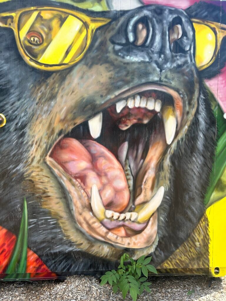 Close-up of a roaring black bear painted in a colorful Pigeon Forge wildlife mural.