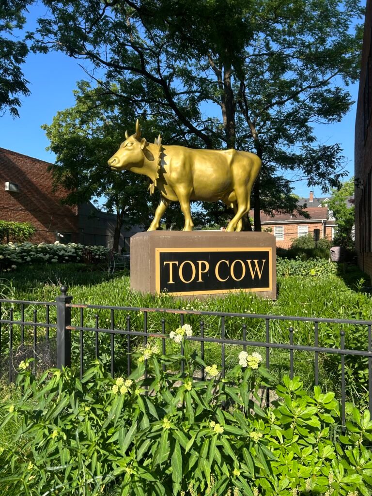 Gold Top Cow statue on its pedestal in Glen Ellyn, Illinois, a quirky roadside attraction and public art photo stop.