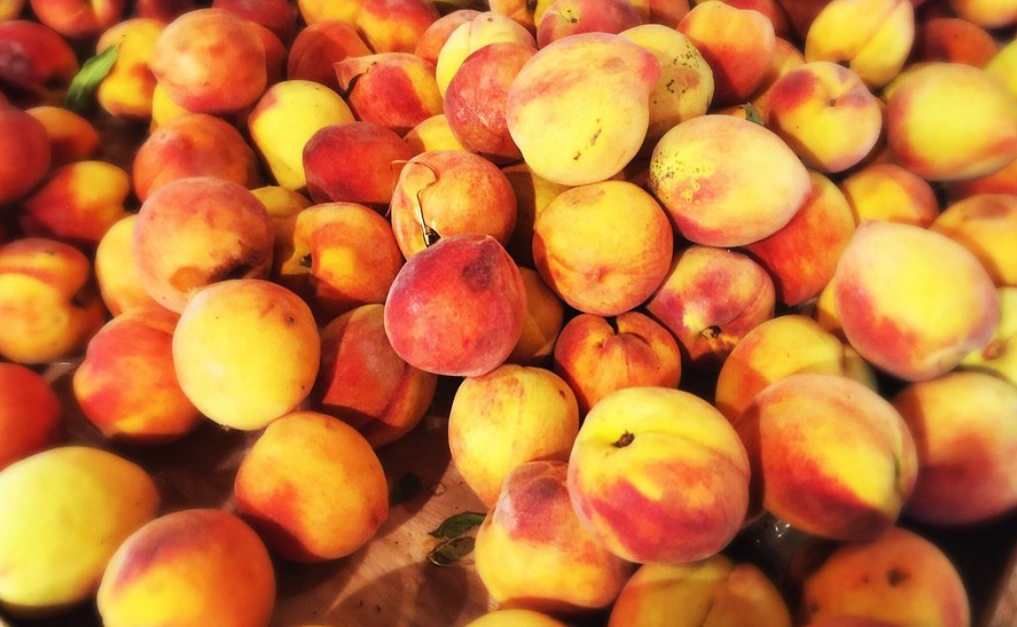 Fresh Georgia peaches for sale at Farmview Market in Madison, Georgia